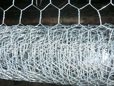 重型六角网图片3