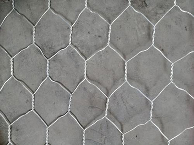 五拧石笼网图片2