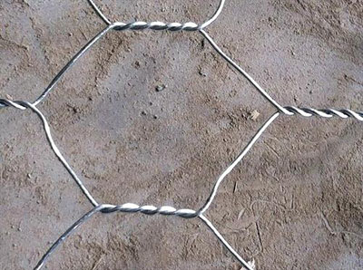 五拧石笼网图片4