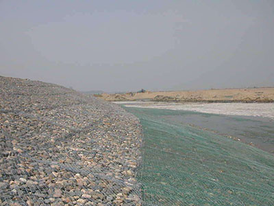 高尔凡雷诺护垫图片3