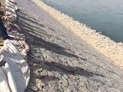 黑龙江干流堤防应急 度汛工程中上游段堤 防工程图片4